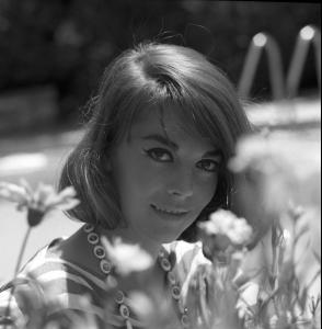 post-27165-0-86558700-1376941241_thumb.j