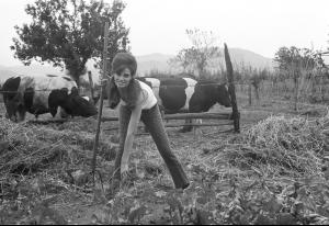 post-27165-0-89657700-1377201234_thumb.j