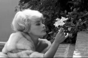 post-27165-0-92397900-1376769944_thumb.j