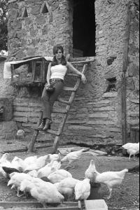 post-27165-0-96654300-1376940470_thumb.j