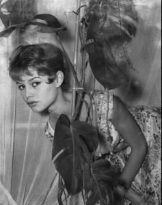 post-61825-0-24055100-1376615149_thumb.j