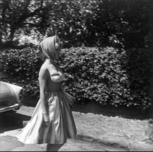 post-61825-0-52355600-1376614743_thumb.j