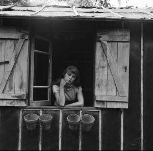 post-61825-0-61054500-1376588130_thumb.j