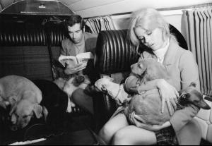 FRANCE. Transporting with dogs to France. 1967-2.jpg