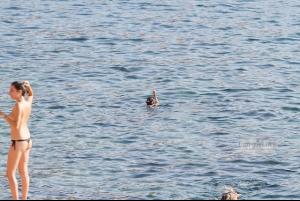 post-87508-0-19000200-1407187571_thumb.j