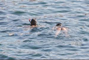 post-87508-0-63803200-1407187553_thumb.j