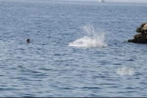 post-87508-0-77590900-1407187179_thumb.j