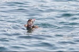 post-87508-0-82796700-1407187601_thumb.j