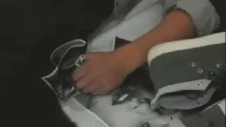 post-33900-0-1445992297-64127_thumb.gif