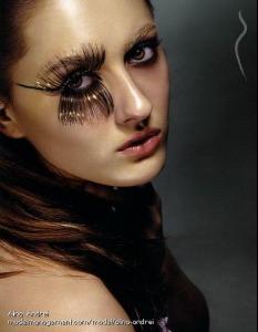 post-19430-0-32913600-1347704649_thumb.j