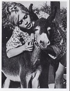 post-61825-0-58729500-1348359217_thumb.j