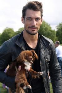 post-22656-0-02171100-1378652219_thumb.j