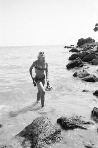 post-27165-0-15638000-1379954779_thumb.j