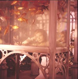 post-27165-0-23698400-1378496629_thumb.j