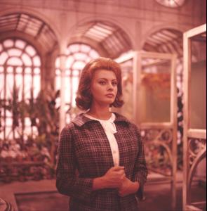 post-27165-0-94272200-1378496636_thumb.j