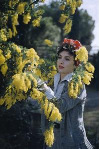 post-27165-0-98570400-1378056864_thumb.j