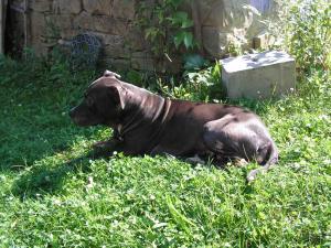 post-3761-0-26909900-1379528183_thumb.jp