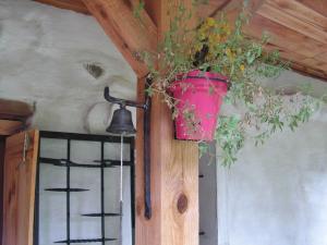 post-3761-0-35771500-1379528334_thumb.jp