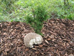 post-3761-0-62478200-1379528365_thumb.jp