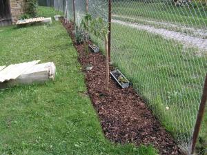 post-3761-0-74936400-1379528345_thumb.jp