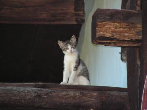 post-3761-0-92432400-1379528005_thumb.jp