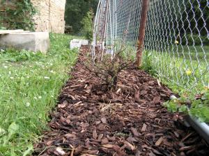 post-3761-0-94634600-1379528375_thumb.jp