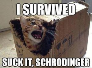 post-44859-0-46809900-1411964505_thumb.j