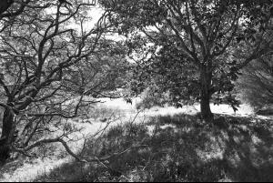 post-46718-0-90174800-1411031735_thumb.j