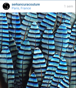 post-83987-0-81969900-1443474137_thumb.p