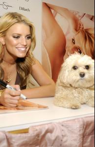 jessica_simpson_4.jpg
