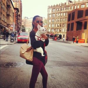 post-56515-0-27648800-1350522683_thumb.j