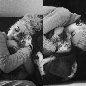 post-62557-0-52350100-1350468635_thumb.j