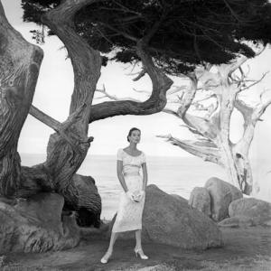 post-37737-0-15544300-1382715157_thumb.j