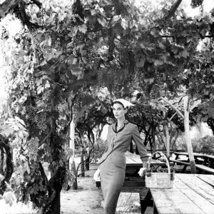 post-37737-0-66848100-1382715090_thumb.j