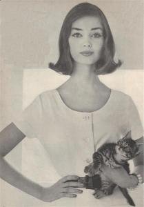 post-37737-0-88439600-1382794004_thumb.j