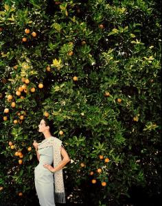 post-37737-0-98956500-1382715159_thumb.j