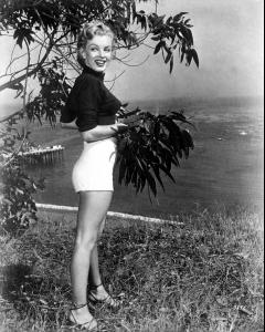 post-63450-0-15784200-1382208707_thumb.j