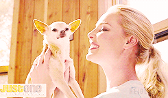 post-40923-0-29296600-1414436406_thumb.g