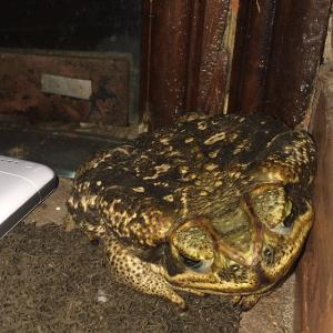 post-87508-0-83467700-1414039717_thumb.j