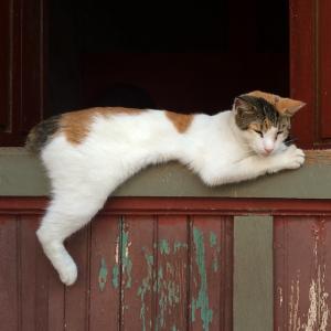 post-87848-0-63844700-1414571383_thumb.j