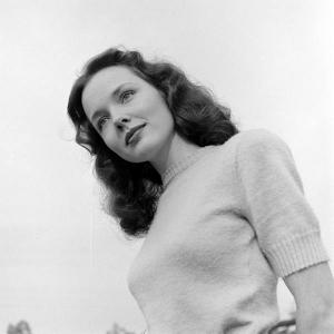 post-10380-0-75799200-1351779244_thumb.j