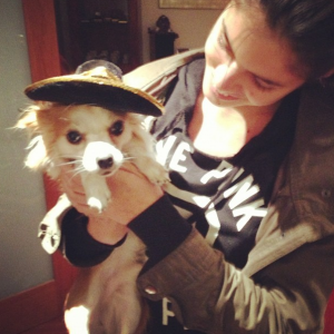 post-56515-0-55451600-1353544899_thumb.p