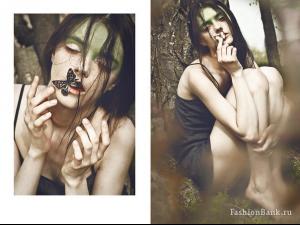 post-56515-0-58828300-1353284407_thumb.j