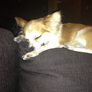 post-56515-0-70622000-1354065549_thumb.p