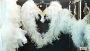 post-56515-0-16356800-1384021755_thumb.j