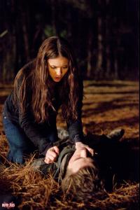 post-56515-0-47080000-1383463029_thumb.j