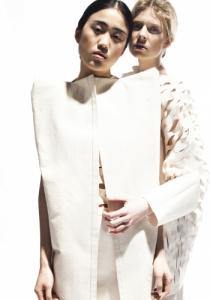 post-56515-0-83107300-1384011559_thumb.j