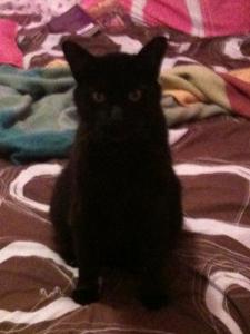 post-56515-0-95177100-1383803721_thumb.j