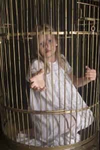 post-40923-0-23388800-1417360253_thumb.j