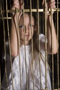 post-40923-0-72104900-1417360251_thumb.j